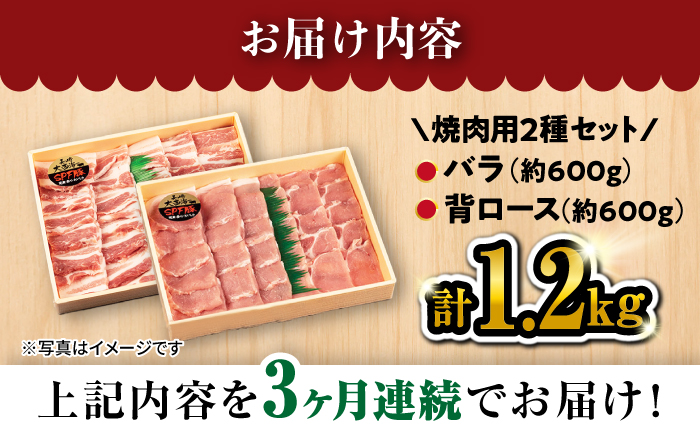 【3回定期便】大西海SPF豚 背ロース＆バラ（焼肉用）計1.2kg 訳あり ＜大西海ファーム＞ [CEK044] 豚肉