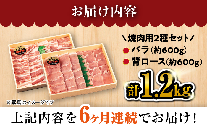 【6回定期便】大西海SPF豚 背ロース＆バラ（焼肉用）計1.2kg 訳あり ＜大西海ファーム＞ [CEK045] 豚肉