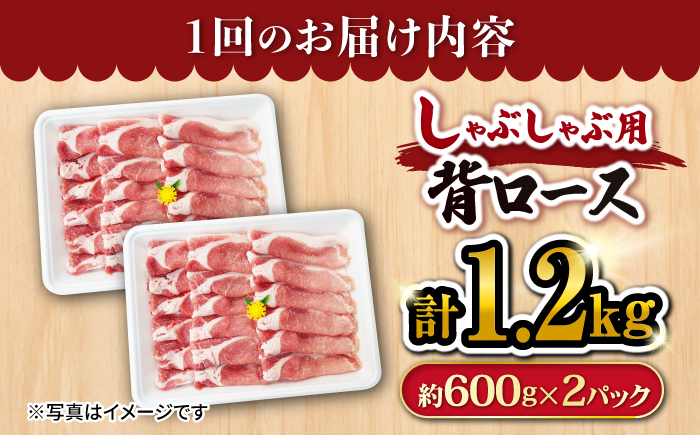 【12回定期便】大西海SPF豚 背ロース（しゃぶしゃぶ用）計1.2kg 訳あり ＜大西海ファーム＞ [CEK127] 豚肉