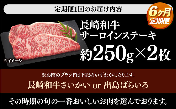 【訳あり】【6回定期便】 長崎和牛 サーロイン ステーキ 約500g（2枚） 【大西海ファーム食肉加工センター】 [CEK180]