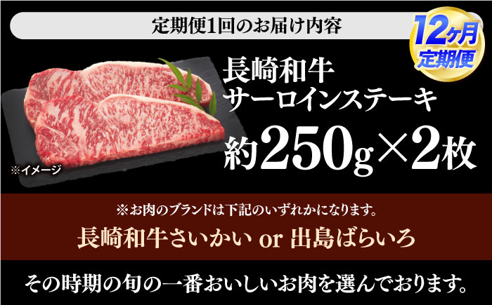 【12回定期便】長崎和牛 サーロイン ステーキ 計500g（2枚） 訳あり ＜大西海ファーム食肉加工センター＞ [CEK181]
