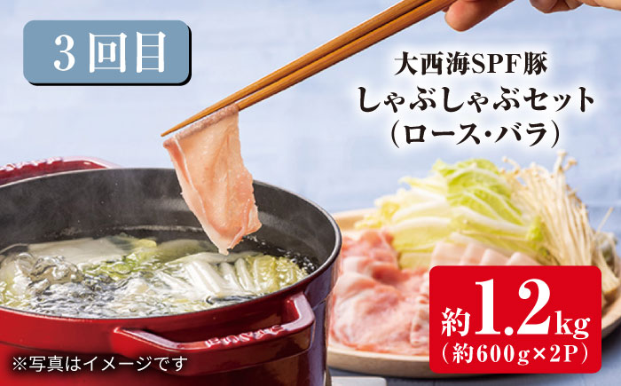 【3回定期便】 大西海SPF豚 便利 3種セット 総計4.2kg 訳あり ＜大西海ファーム＞ [CEK182] 豚肉