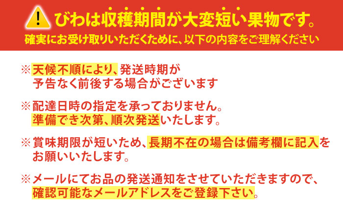 【先行予約】西海市産 びわ 約1kg（L～2Lサイズ）＜パッパラパー農園＞ [CFI002]