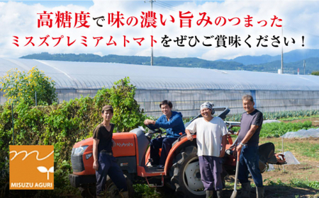 【2月上旬より順次発送】ミスズプレミアム トマト 「ルージュ」約1kg（9個）＜株式会社ミスズアグリ西海＞ [CFN001]