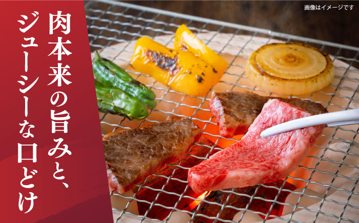 【A4～A5】 長崎和牛 焼肉 用 約1kg（500g×2p）＜株式会社MEAT PLUS＞ [CFT002] 牛肉