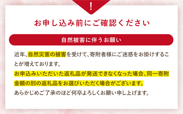 すいか【先行予約：2026年6月中旬より配送】 羅皇2玉 （1玉当たり6〜8kg） ＜武藤農園＞ [CFV007] 甘い 大玉 旬 ギフト プレゼント フルーツ 夏 スイカ すいか 先行予約 2026年 長崎県 西海市