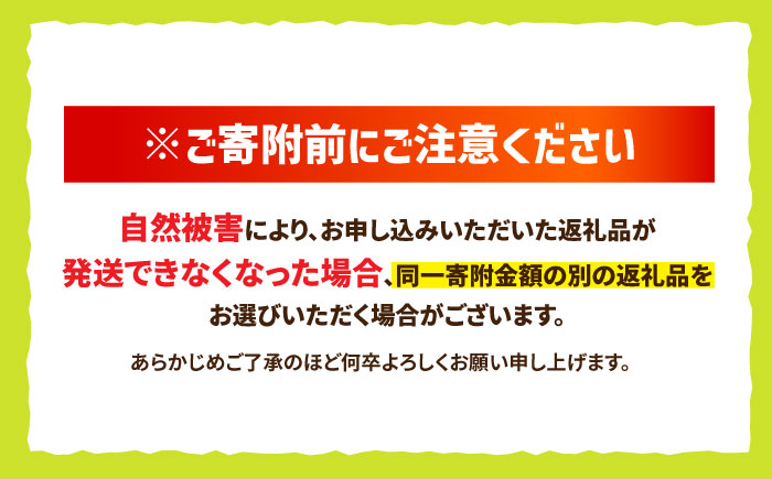 【2025年9月発送】 シャインマスカット 約1.5kg（2房）大粒 皮ごと 種なし＜濱崎農園＞ [CGN005]