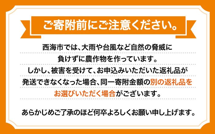 【12月中旬より配送開始】 石地みかん 約5kg （S,Mサイズ混合）＜濱崎ファーム＞ [CGT003]
