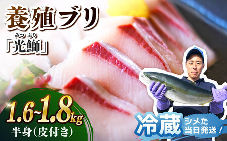 【呼子ノ瀬戸名物】養殖ブリ「光鰤」半身 皮付き 約1.6～1.8kg＜小山水産＞ [CDZ005]