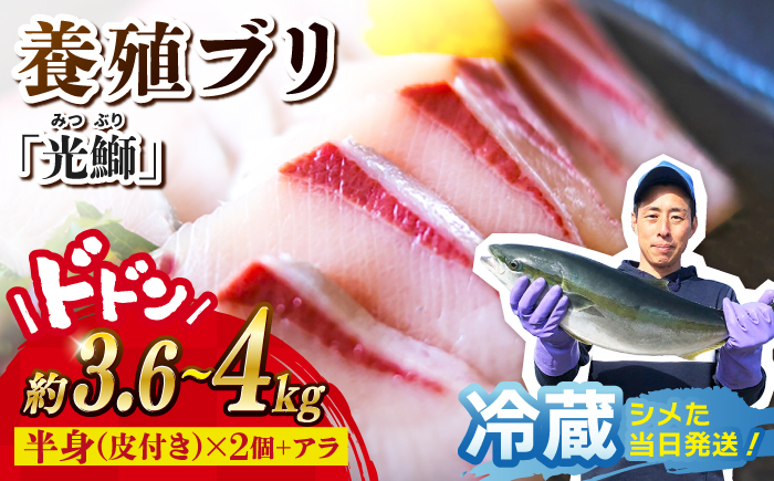 【呼子ノ瀬戸名物】養殖ブリ「光鰤」1本 皮付き 約3.6～4kg＜小山水産＞ [CDZ006]