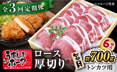 【訳あり】【月1回700g×3回定期便】長崎うずしおポーク ロース（とんかつ用）計2.1kg＜スーパーウエスト＞ [CAG102]