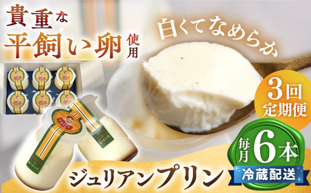 【3回定期便】ジュリアンプリン 6本＜お菓子のいわした＞ [CAM027]プリン ぷりん ジュリアン プリン