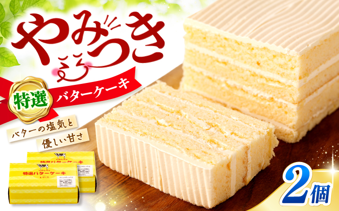 【あのころを思い出す味】 特選 バター ケーキ 2個 ＜お菓子のいわした＞ [CAM052]