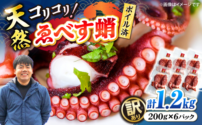 【訳あり】 天然 ゑべす蛸(ボイル済) 計1.2kg（約200g×6パック）＜大瀬戸町漁協＞ [CAR010] たこ