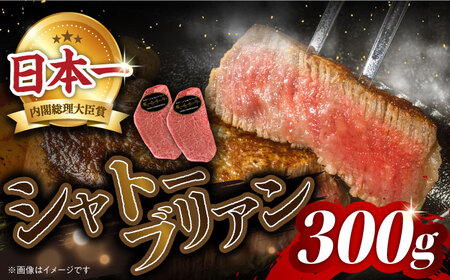 長崎和牛 シャトーブリアン ステーキ 計300g（2枚）＜株式会社黒牛＞ [CBA014] ヒレ 牛肉