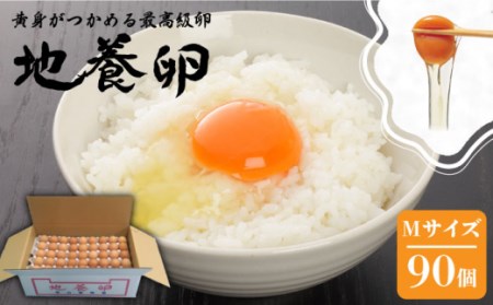 【黄身がつかめる】かきやまの地養 卵  Mサイズ 90個＜垣山養鶏園＞ [CBB005] たまご