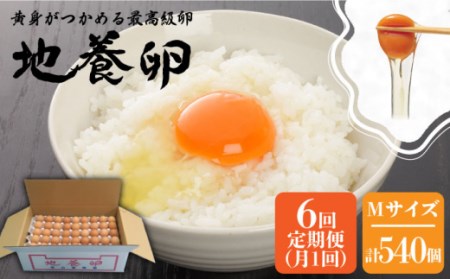 【黄身がつかめる最高級の卵】【6回定期便】かきやまの「地養卵」 Mサイズ 90個×6回定期便＜垣山養鶏園＞ [CBB007] 卵 たまご タマゴ たまご