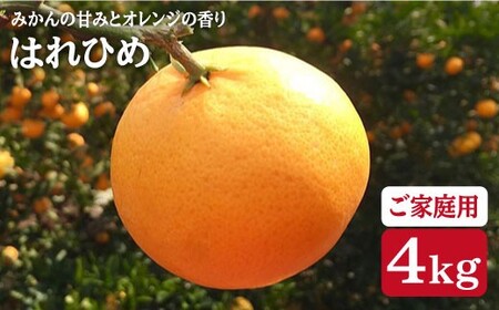 【ご家庭用】 はれひめ 約4kg（サイズ混合）＜広津農園＞ [CBN003] 長崎 西海 みかん ミカン 蜜柑 オレンジ