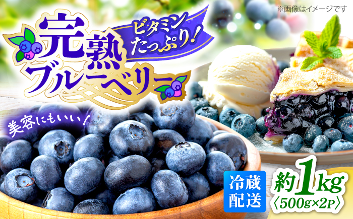 【2026年6月中旬より順次発送】【栽培期間中 農薬不使用】完熟 生ブルーベリー 計1kg＜広津農園＞ [CBN008]