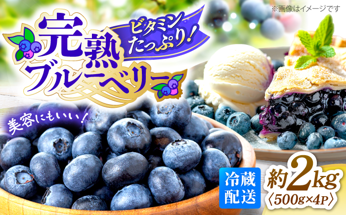 【2026年6月中旬より順次発送】【栽培期間中 農薬不使用】完熟 ブルーベリー 計2kg＜広津農園＞ [CBN009]  ブルーベリー ぶるーべりー 果物 フルーツ 生ブルーベリー