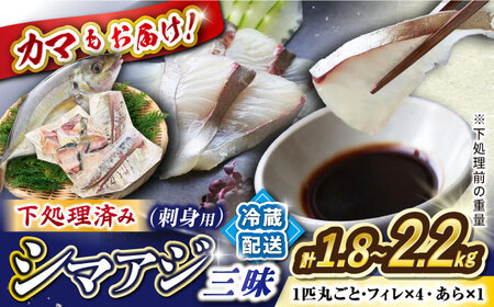 【土日お届け】【下処理済み】 シマアジ 堪能6点セット＜大島水産種苗＞ [CBW012] 魚 ブロック アジ