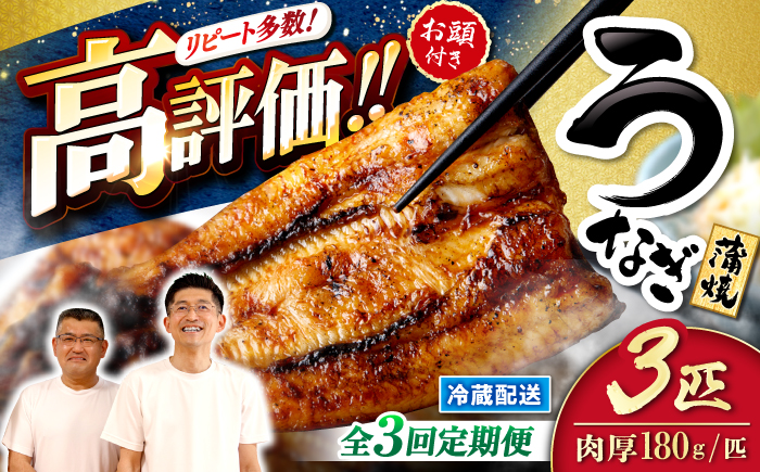 【月1回3尾×3回定期便】秘伝のタレで仕上げた 国産 うなぎ の蒲焼［CCA008］＜入口屋＞