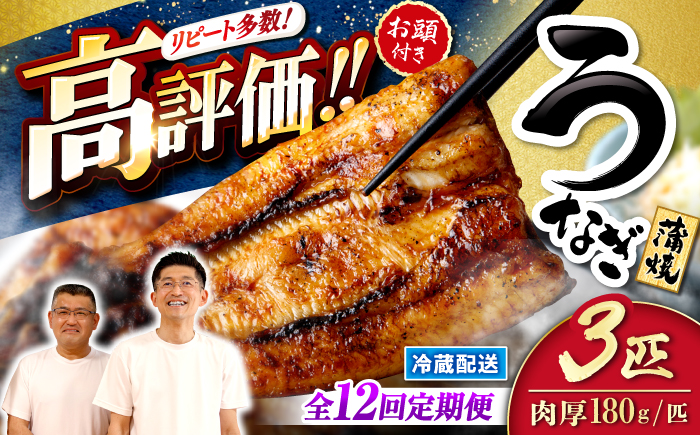 【12回定期便】国産 うなぎ の蒲焼 3尾＜入口屋＞ [CCA010]