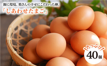 【ノンストレス卵】平飼い「しあわせたまご」40個＜松本養鶏場＞ [CCD021]