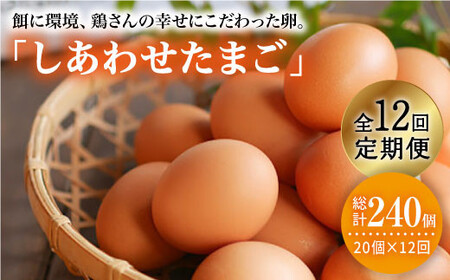 【月1回20個×12回定期便】平飼い「しあわせたまご」計240個＜松本養鶏場＞ [CCD031]