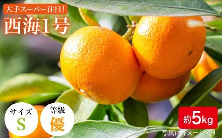 【訳あり】西海1号 温州 みかん 約5kg（優品/Sサイズ）＜西海柑橘農業協同組合＞ [CCF004]