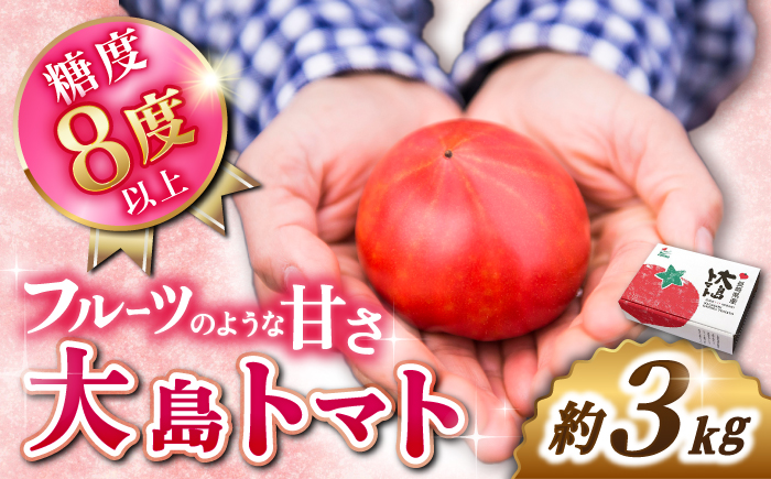 【2026年収穫分先行予約】 糖度8度以上！大島 トマト 約3kg＜大島造船所農産G＞ [CCK005]