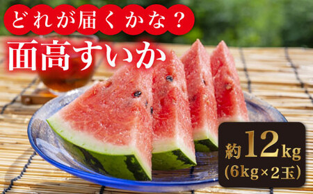 【どれが届くかな？】面高すいか約6kg×2玉＜太田幸男＞ [CCN002]