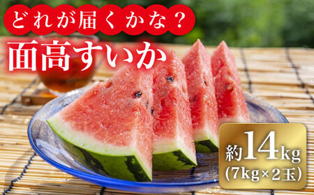 【どれが届くかな？】面高すいか約7kg×2玉＜太田幸男＞ [CCN003]