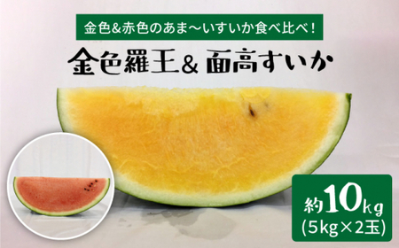 【金色vs赤色すいか食べ比べ】金色羅王＆面高すいか（5kg×2玉）＜太田幸男＞ [CCN009]