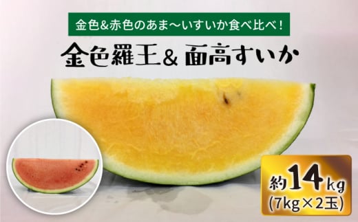 【金色vs赤色すいか食べ比べ】金色羅王＆面高すいか（7kg×2玉）＜太田幸男＞ [CCN011]