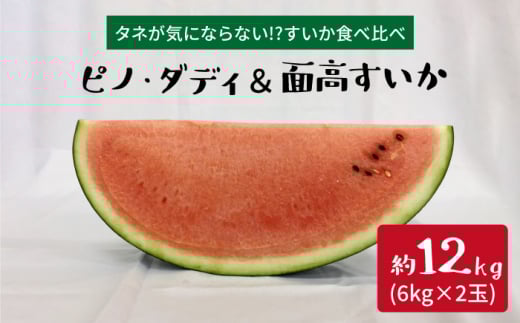 【スイカ食べ比べ】ピノ・ダディ＆面高すいか（6kg×2玉）＜太田幸男＞ [CCN013]