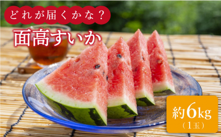 【どれが届くかな？】面高すいか 約6kg 1玉 ＜太田幸男＞ [CCN016]
