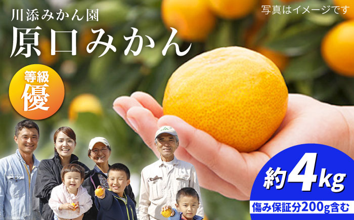 【11月下旬より配送】【優】原口みかん 約4kg（傷み保証分200g含む）＜川添みかん園＞ [CCT001] みかん ミカン 柑橘 西海みかん 西海 贈答 ギフト 贈り物