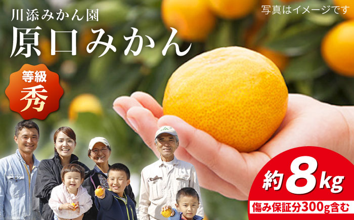 【11月下旬より配送】【秀】原口みかん 約8kg（傷み保証分300g含む）＜川添みかん園＞ [CCT003] みかん ミカン 柑橘 西海みかん 西海 贈答 ギフト 贈り物