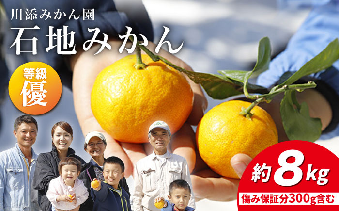 【12月上旬より配送】【優】石地みかん 約8kg（傷み保証分300g含む）＜川添みかん園＞ [CCT006] みかん ミカン 柑橘 西海みかん 西海 贈答 ギフト 贈り物