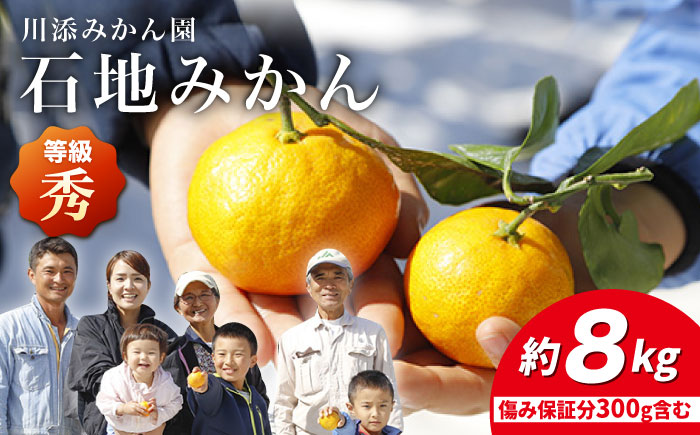 【12月上旬より配送】【秀】石地みかん 約8kg（傷み保証分300g含む）＜川添みかん園＞ [CCT007] みかん ミカン 柑橘 西海みかん 西海 贈答 ギフト 贈り物