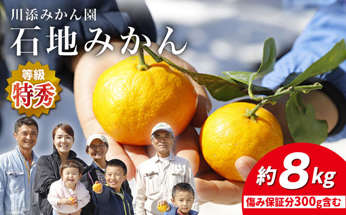 【12月上旬より配送】【特秀】石地みかん 約8kg（傷み保証分300g含む）＜川添みかん園＞ [CCT008] みかん ミカン 柑橘 西海みかん 西海 贈答 ギフト 贈り物