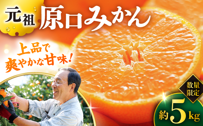 『元祖！』原口みかん 5kg＜原口果樹園＞ [CCW001]