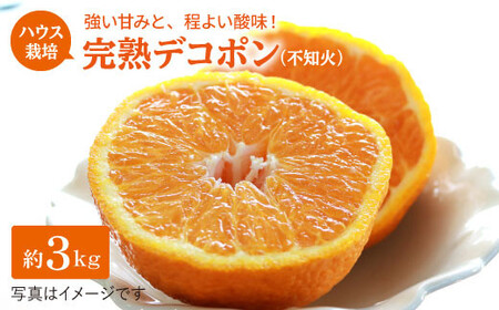 【☆先行予約☆】糖度13～15度！ハウス木成完熟デコポン（不知火）約3kg＜原口果樹園＞ [CCW005] みかん