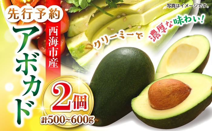 【☆先行予約☆】西海市産アボカド2個（計500～600g）＜原口果樹園＞ [CCW011]  長崎 西海 アボカド あぼかど 野菜 アボカド 健康 スムージー 栄養 贈答 ギフト