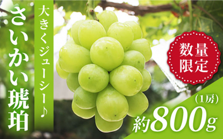 【数量限定】さいかい琥珀（雄宝）約800g（1房）＜最強の兼業農家山田さん＞ [CCX005]