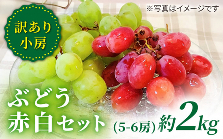 【数量限定】 【訳あり】 詰め合わせ赤白セット（サニードルチェ・シャインマスカット）約2kg（5～6房）＜山義田敦義＞ [CCX008]