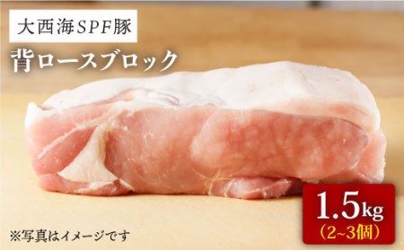 【肉塊で肉会】大西海SPF豚 背ロースブロック 計1.3kg（2～3個） 訳あり ＜大西海ファーム＞ [CCY027] 豚肉