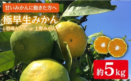 【10月より順次発送】極早生みかん（岩崎・上野）５kg＜Da・IWASAKI FARM＞[CCZ001]