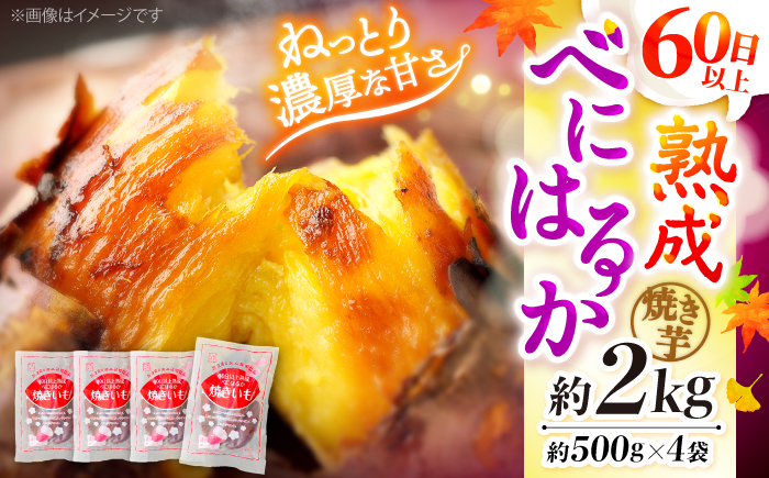 【ねっとりとろける美味しさ】熟成紅はるか 焼き芋 約2kg（500g×4パック） ＜大地のいのち＞ [CDA012] さつまいも